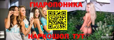 спиды Будённовск