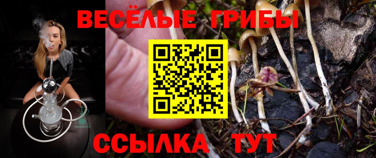 Галлюциногенные грибы GOLDEN TEACHER Сызрань